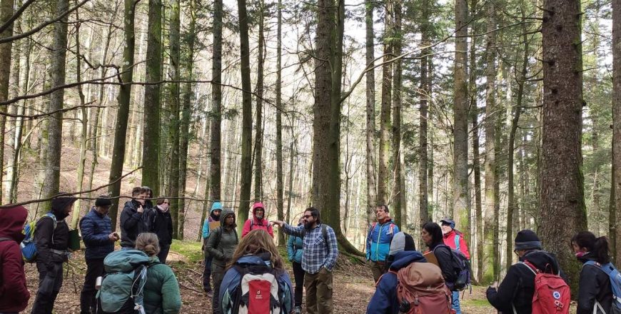 Forest Bathing - Terapie Forestali (4)