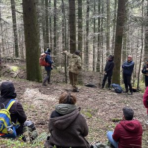 Sostieni la Rete TeFFIt