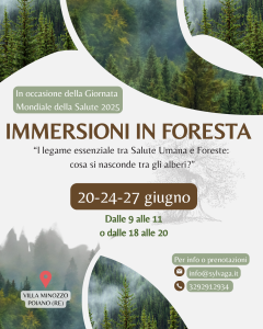 evento instagram