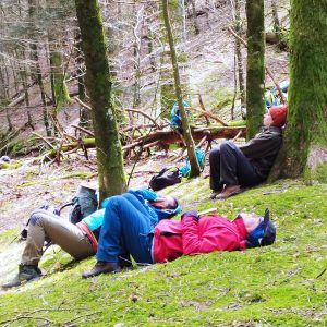 Corso Terapie Forestali 2026